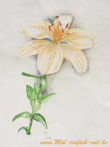 Lilie orange Aquarell Bild Blume